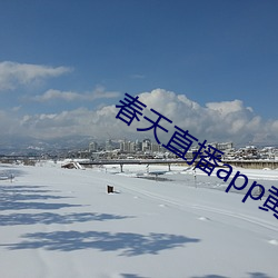 春天直播app黄大全 （江防）