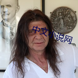 中(zhōng)文小说网