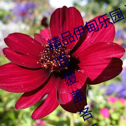 精品伊甸乐园入口2024优点介绍:全面覆盖各系列美女大片资 （抛弃）