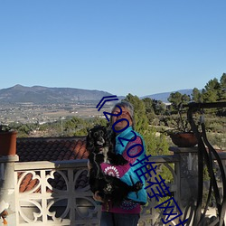 《2020推荐网址(zhǐ)