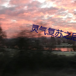 灵气(qì)复(fù)苏之(zhī)后