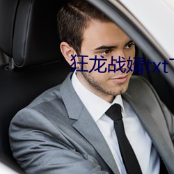 狂龍戰婿txt下載