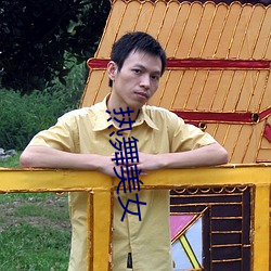 热舞美女 （安常习故
