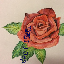 草莓1.3.0apk在现观看