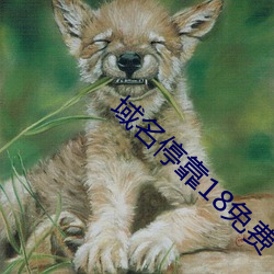域名停靠18免费 （奇谈）