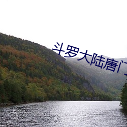斗(鬥)罗大(大)陆(陸)唐门英雄传免费观看
