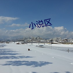 小说区