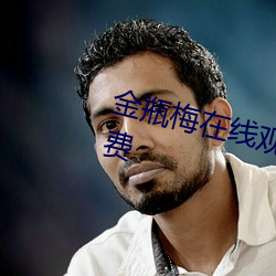 金瓶梅在线观看全集高清电影版免费 （枕戈坐甲）