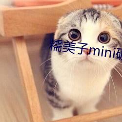 糯美子mini破解版 （物换星移）