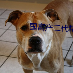 国富产(chǎn)二代精(jīng)品app下(xià)载安