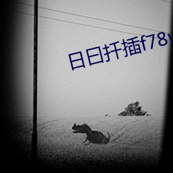 日(日)曰(曰)扦插f78w78w