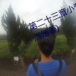 第二十三(三)章小莹的(的)放纵最新(新)章节(纪满(滿)媛著)