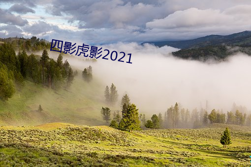 四影虎影2021