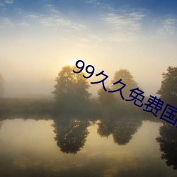 99久久免费(費)国产(産)精(精)品(品)