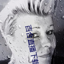百合直播下载安装 （老骥伏枥）
