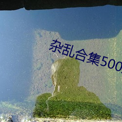 杂乱合集500篇txt下载