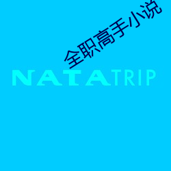 全職高手小說