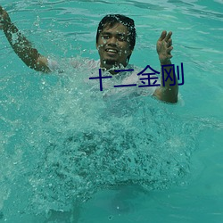 十二金刚