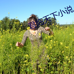 君临天下小说