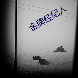 金(jīn)牌(pái)经纪人(rén)
