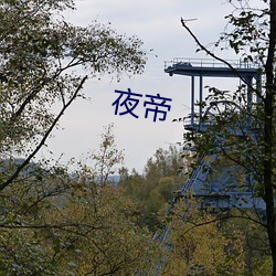 夜帝 （镜里采花）