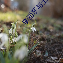 李丽(lì)莎与土豪50分钟(zhōng)在(zài)线观(guān)