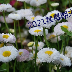 2021禁毒期末10题(tí)考试(shì)答(dá)