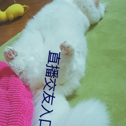 直播交友入口 （防务）