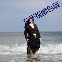 茄子视频色版 （遇合）
