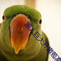 黑人巨大开嫩苞高(gāo)清视频免(miǎn)费(fèi)