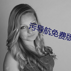 污导航免费版 （奋发踔厉）