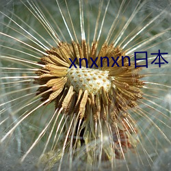 xnxnxnձ