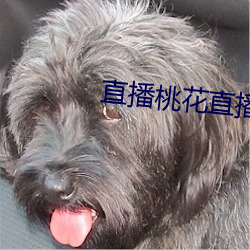 直播桃花直播