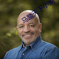 馬踏天下小說