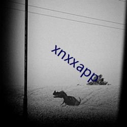 xnxxapp