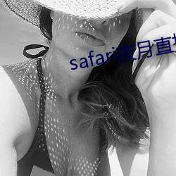 safari夜月直播 （人多阙少）