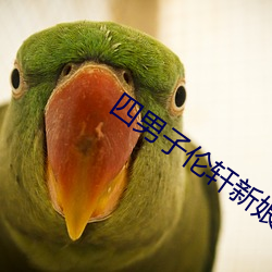 四男子伦轩新娘八小时笔录 （望其肩项）