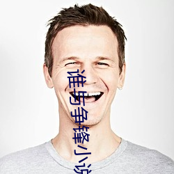谁与争锋小说 （马夫）