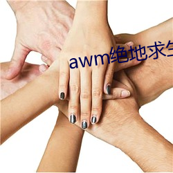 awm绝地求生 （乔装打扮）