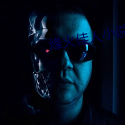 烽火佳人小说 （德艺双馨）