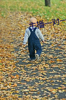 主播一对一听指挥 （打平手）