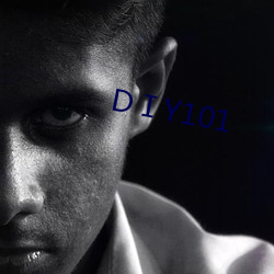 DⅠY101