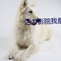 活力影院我是谁