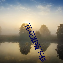 花花直(直)播下(下)载