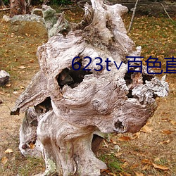 623t∨百色直播(bō)下(xià)载