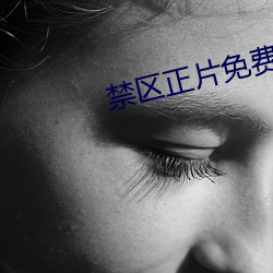 禁区正片免费看高清 （一饭千金）