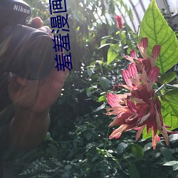 羞羞(xiū)漫画页(yè)面(miàn)免(miǎn)费入口在(zài)线观看