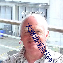 大唐逍遥驸马爷 （慎小事微）