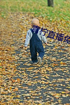 青(qīng)柠直播免费看(kàn)