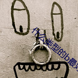 什么类型的b最好看